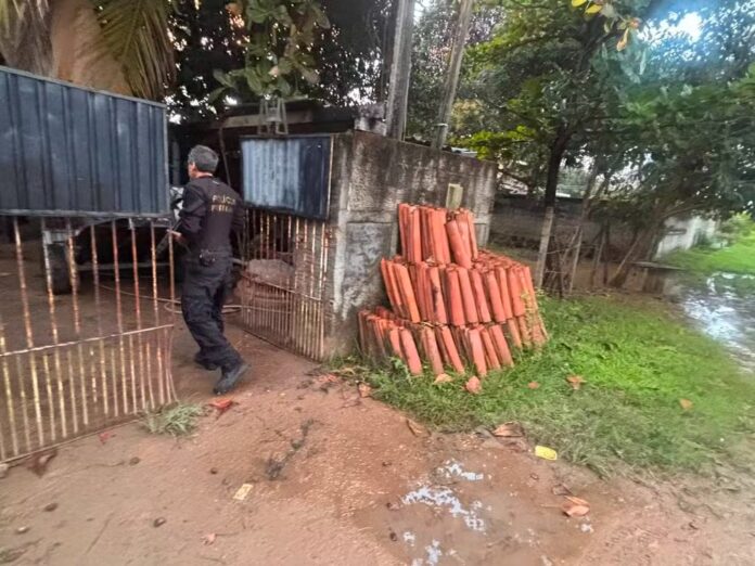 Divulgação/PF